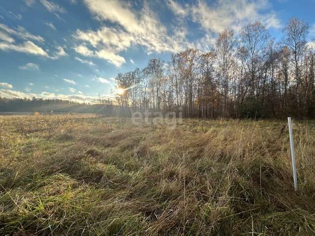 земля д Райсеменовское фото