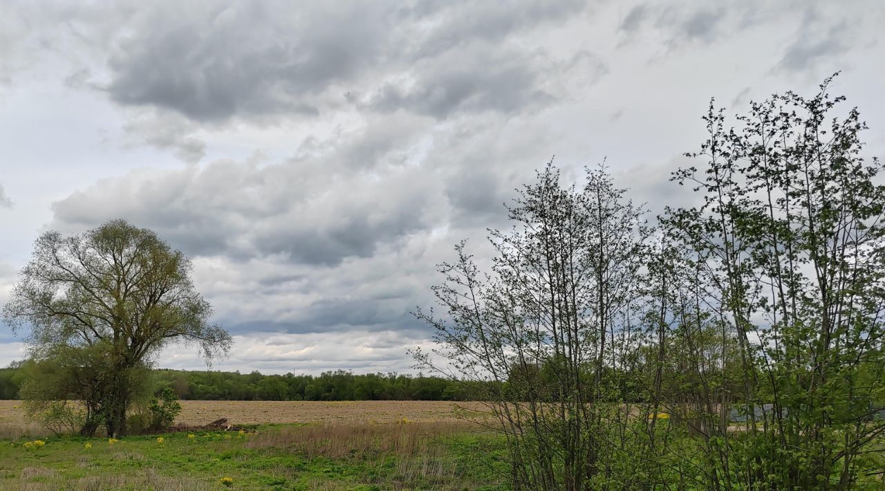 офис городской округ Чехов д Люторецкое фото 3