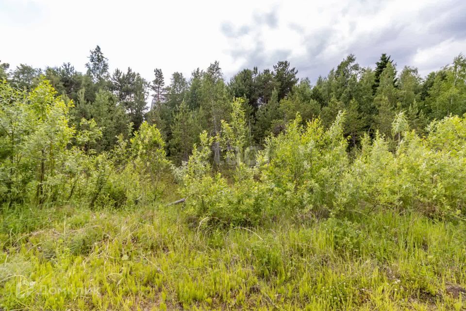 земля Сургут городской округ, ПСОК Автомобилист-1, Клубничная улица, 20 фото 1