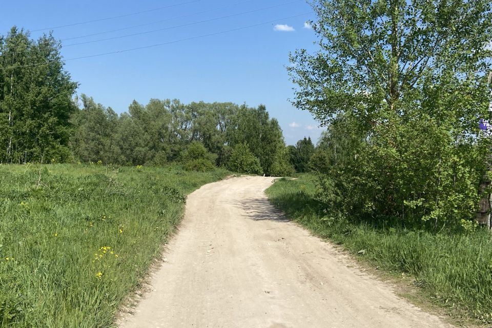 земля р-н Богородский д Победиха ул Широкая 62 фото 4