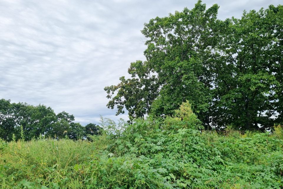 земля г Находка Находкинский городской округ, Ливадия фото 5