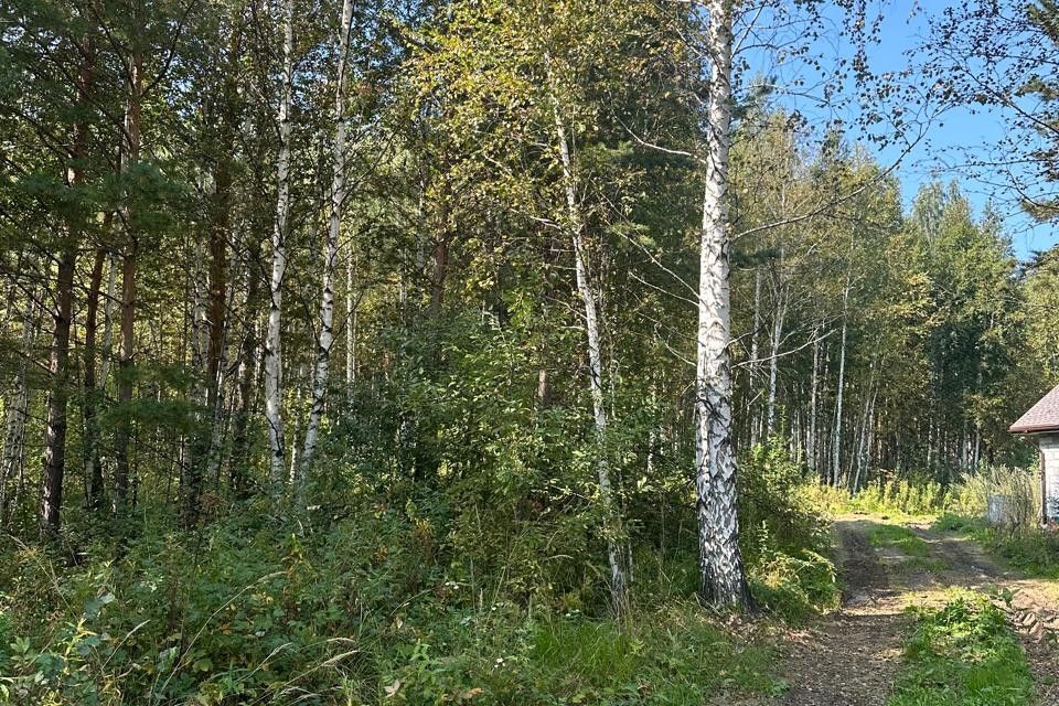 дом р-н Белоярский загородный комплекс Лайф, Центральная Парковая улица, 4 фото 10