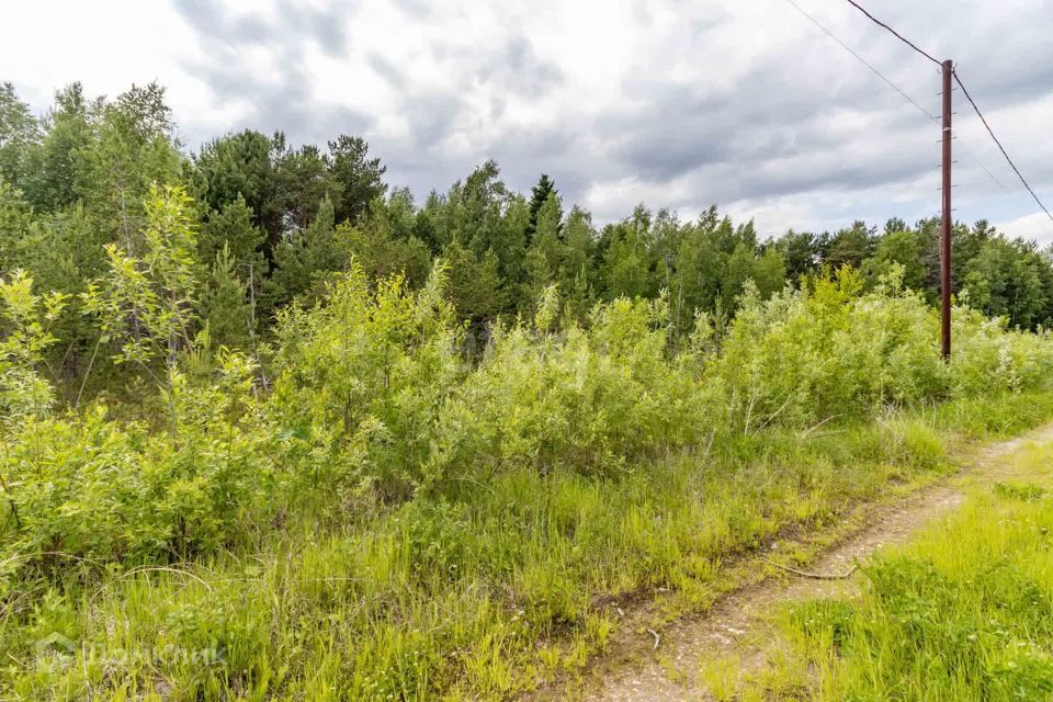 земля Сургут городской округ, ПСОК Автомобилист-1, Клубничная улица, 20 фото 6