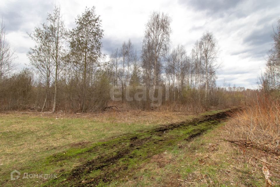 земля р-н Нижнетавдинский СНТ Геолог-2 фото 10