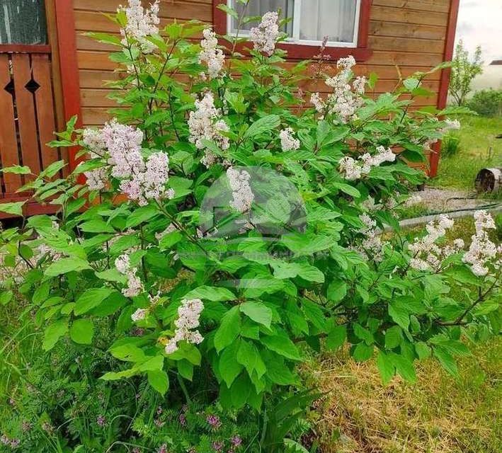 земля г Великий Новгород городской округ Великий Новгород, СТ Ветеран-Мостищ фото 10