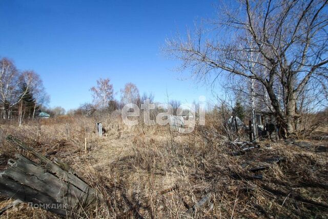 СО Прибрежный, городской округ Тобольск фото