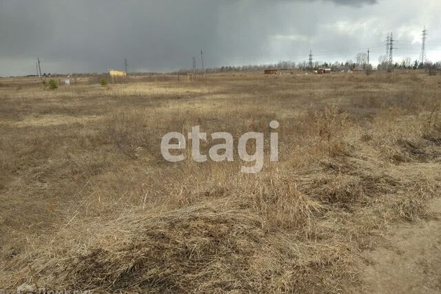 ДНТ Луговое, Берёзовский район фото