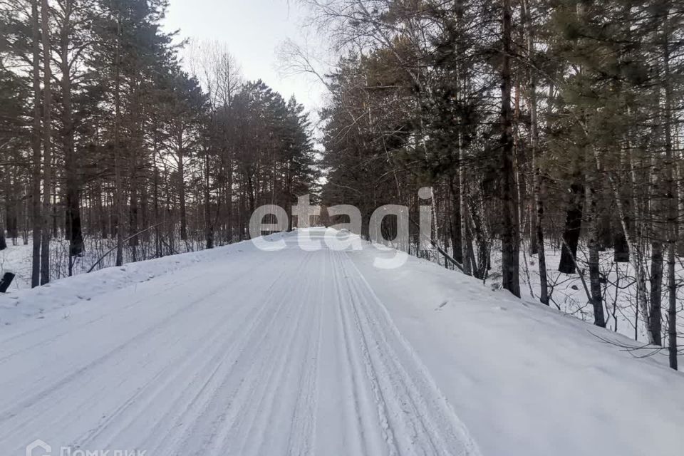 земля р-н Березовский ДНТ Енисейские Зори фото 1