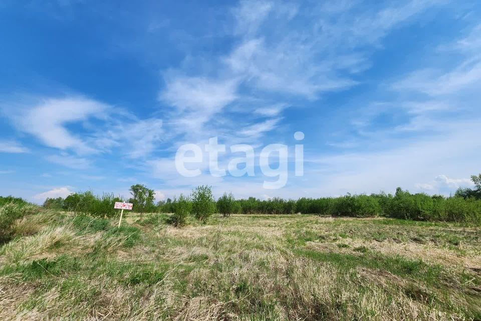 земля г Красноярск городской округ Красноярск, СНТ Ветеран фото 2