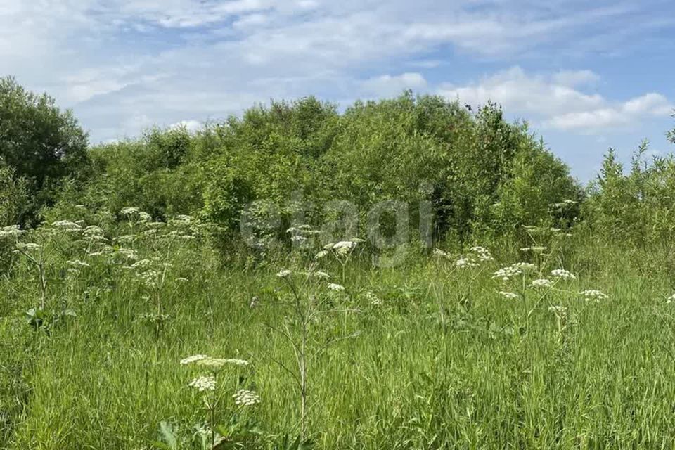 земля р-н Березовский ДНТ Гольфстрим фото 4