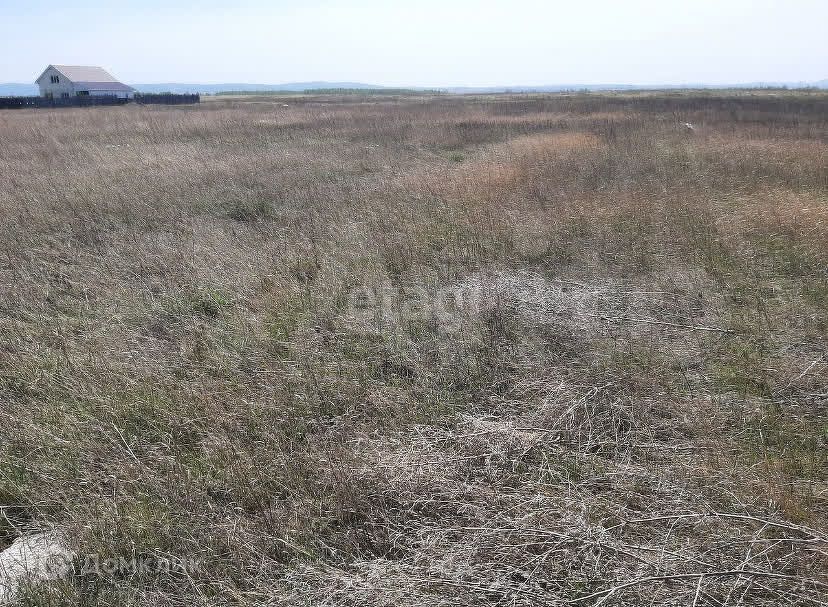 земля р-н Березовский ДНТ Есаульский бор фото 3