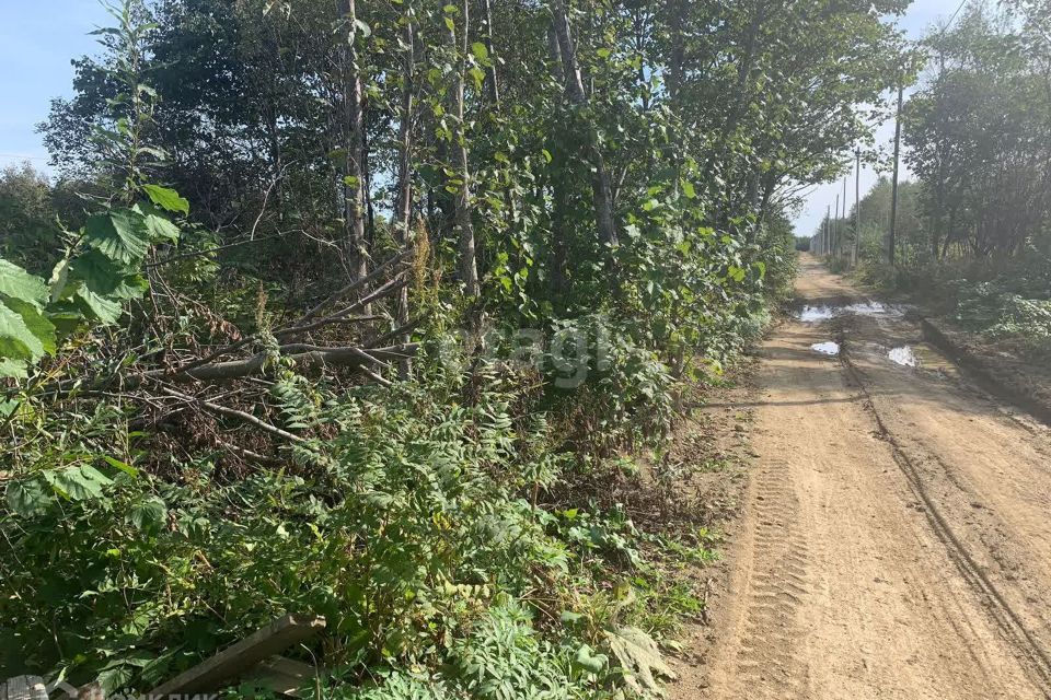 земля г Южно-Сахалинск городской округ Южно-Сахалинск, СНТ Здоровье фото 2