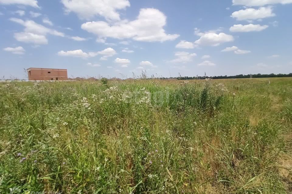 земля Краснодар городской округ, Прикубанский фото 2