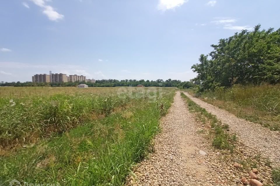 земля Краснодар городской округ, Прикубанский фото 4