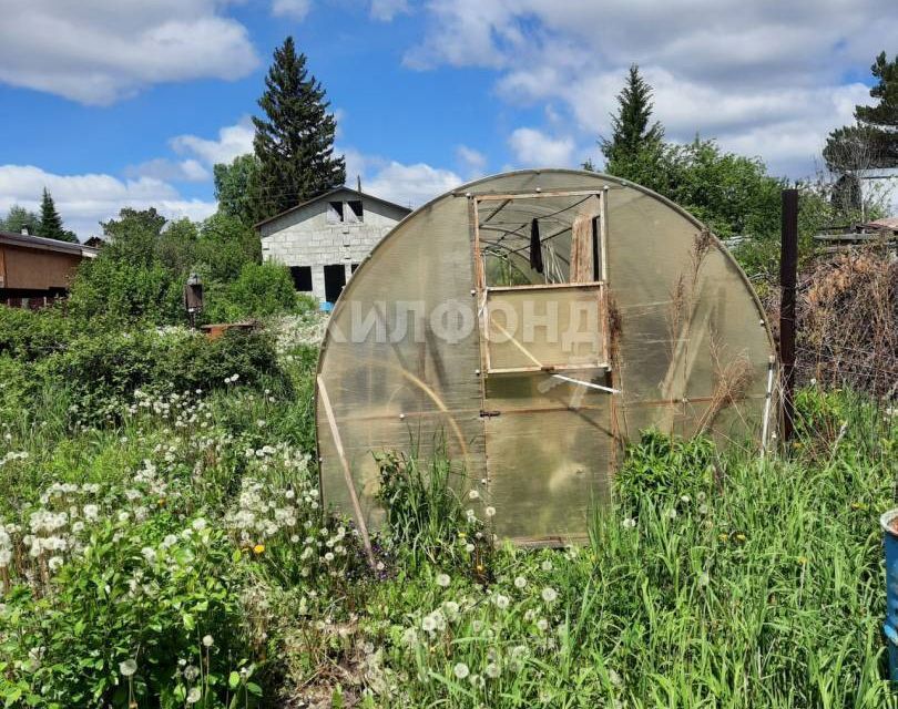 земля р-н Новосибирский снт Золотая горка аллея Ж фото 2