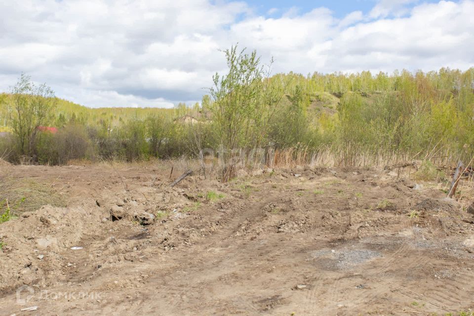 земля г Тобольск ул Ленина городской округ Тобольск фото 6