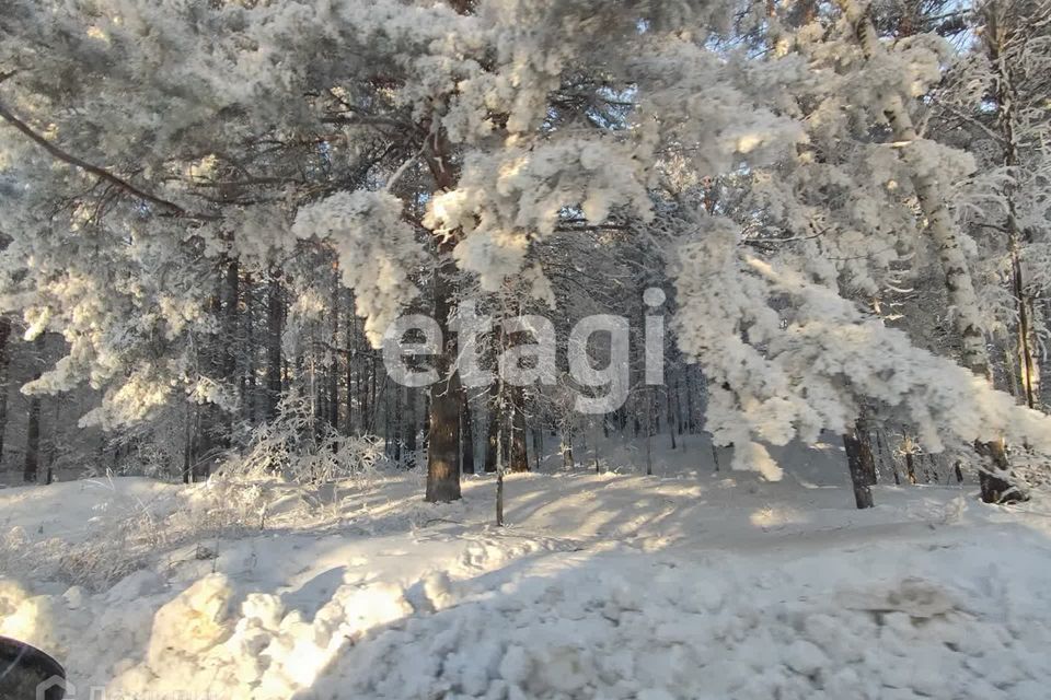 земля р-н Березовский ДНТ Барвиха фото 5