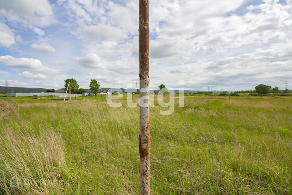 земля городской округ Сосновоборск, Сосновоборск фото 5