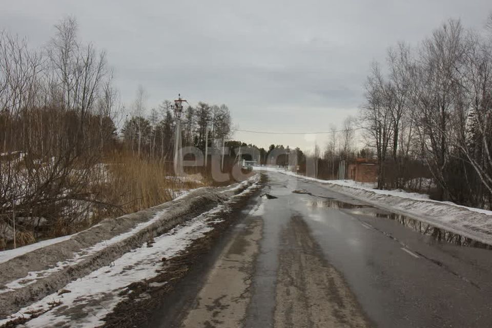 земля ЗАТО Железногорск городской округ, СТ №52, Средняя, 6 фото 7