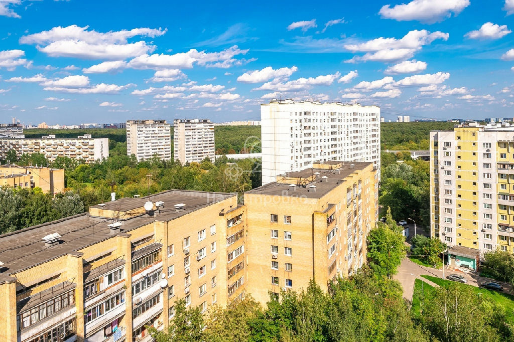 квартира г Москва метро Покровское Покровское метро МЦД-2, МЦД-2, метро МЦД-2 Южный адм. округ Лебедянская ул., 11 фото 21