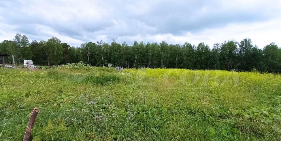 дом р-н Нижнетавдинский д Веселая Грива ул Центральная 31 Тюмень фото 4