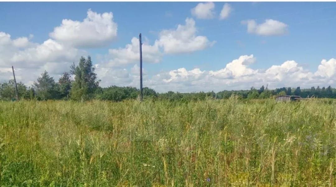 земля г Новороссийск с Владимировка снт Владимировка муниципальное образование фото 1