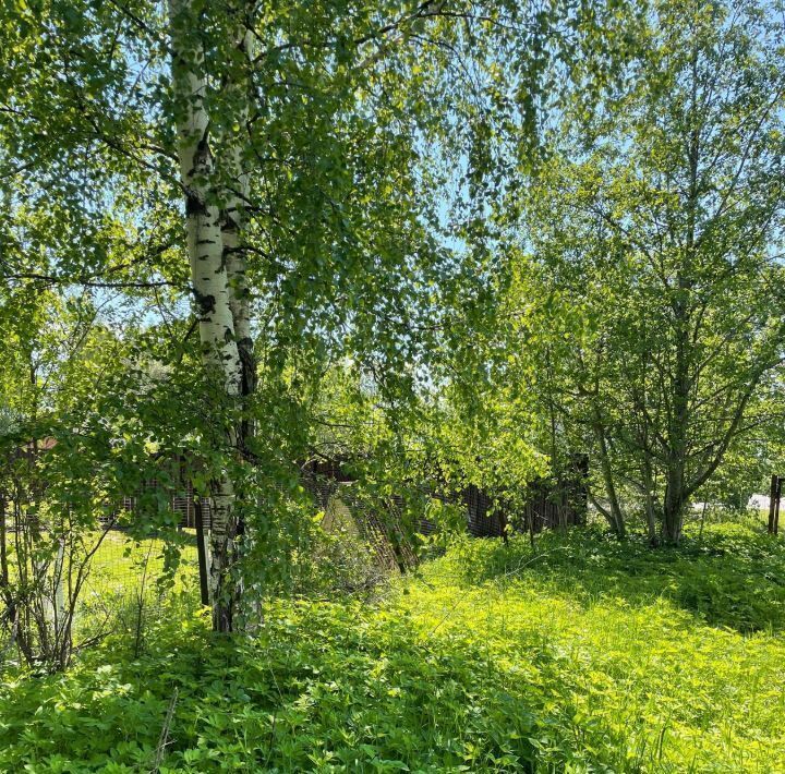 земля р-н Конаковский д Юрьево Козловское сельское поселение, 29 фото 5