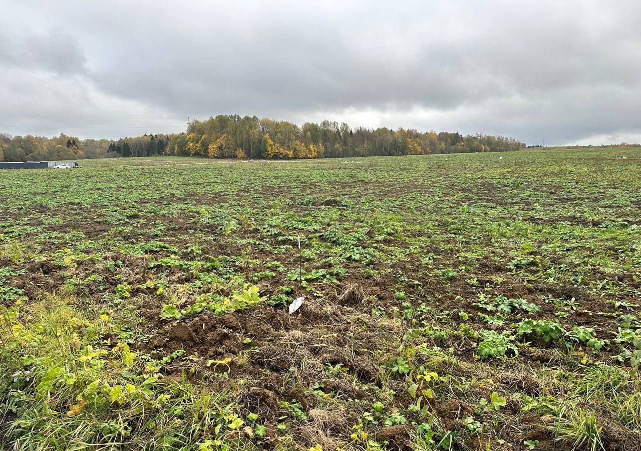 земля городской округ Дмитровский коттеджный поселок «Сорочаны» 62 км, г. о. Клин, Клин, Рогачёвское шоссе фото 22