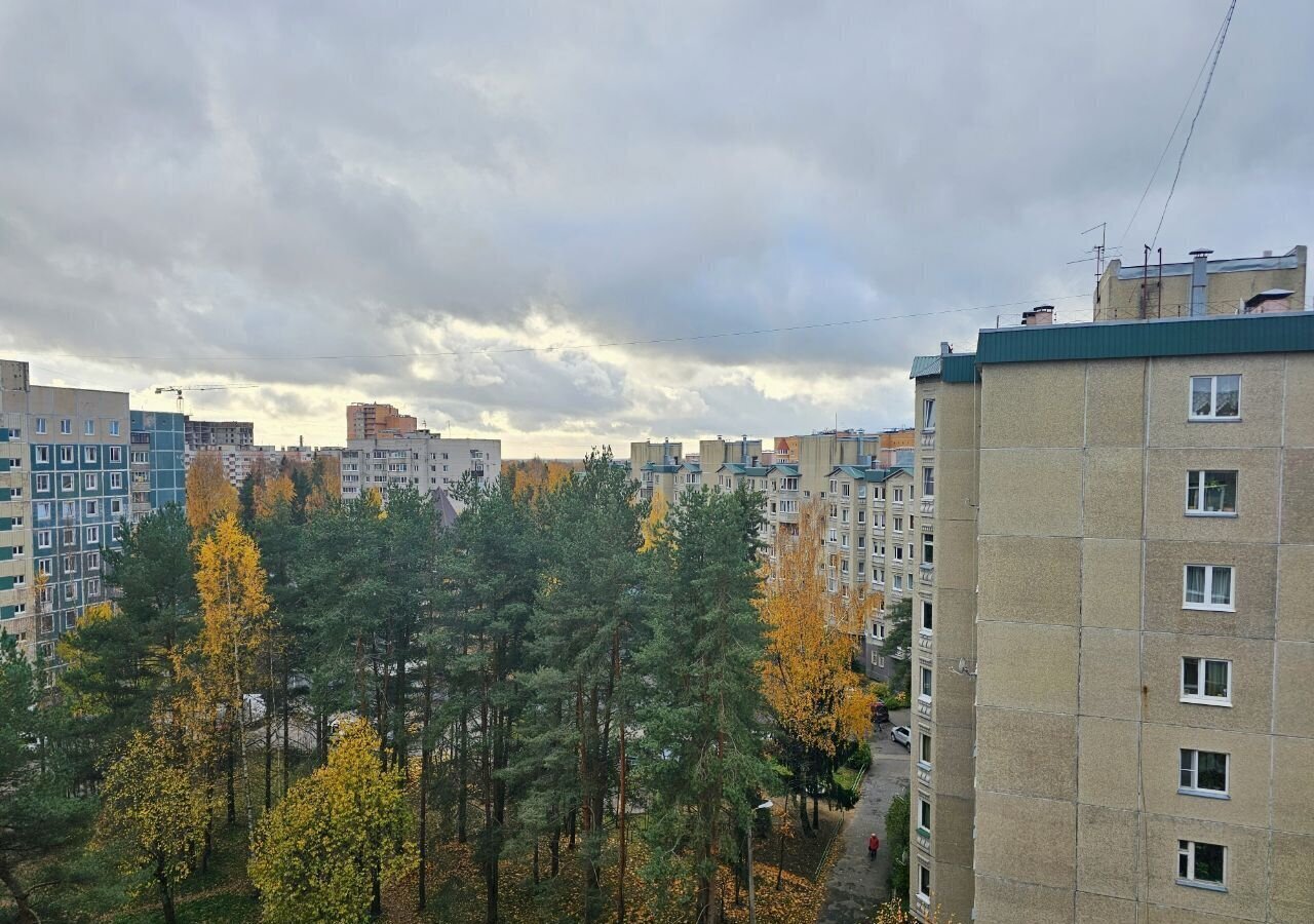 квартира р-н Всеволожский г Сертолово Сертоловское городское поселение, ул. Ветеранов, 11к 1 фото 10