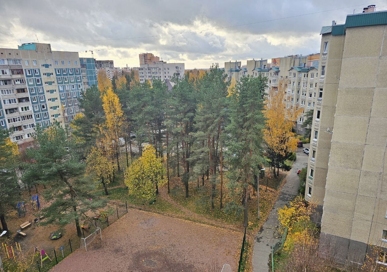 квартира р-н Всеволожский г Сертолово Сертоловское городское поселение, ул. Ветеранов, 11к 1 фото 11