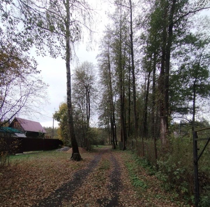 дом городской округ Орехово-Зуевский д Яковлевская снт Садовод 20 фото 24