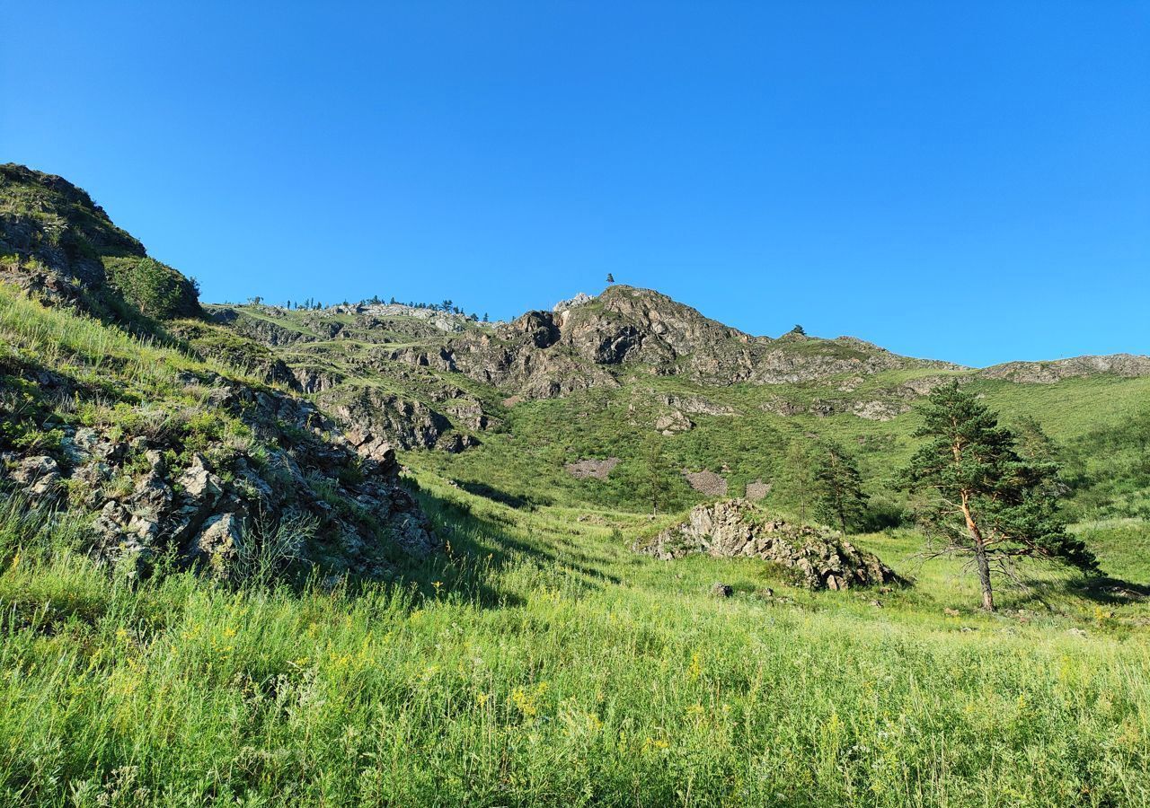 земля р-н Чемальский с Чемал Горно-Алтайск фото 3