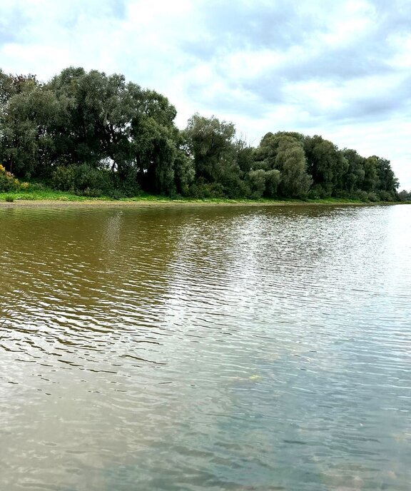 земля р-н Новгородский с Бронница Бронницкое сельское поселение фото 9