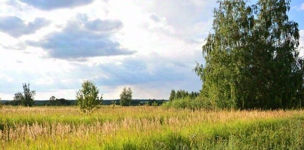 Рахьинское городское поселение фото