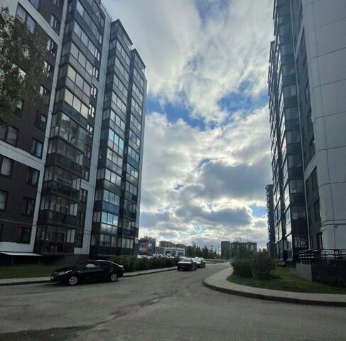 Новоселье городской поселок, Проспект Ветеранов, 1к 1, ш. Красносельское фото