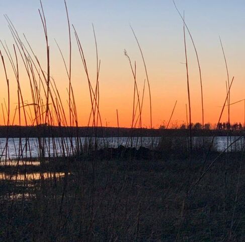 п Ключевое Приморское городское поселение фото