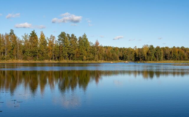 г Приозерск Трасса Сортавала, 109 км, Приозерское городское поселение фото