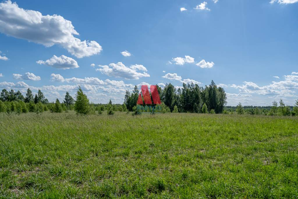 дом р-н Некрасовский с Диево-Городище ул Александровская 9 фото 11