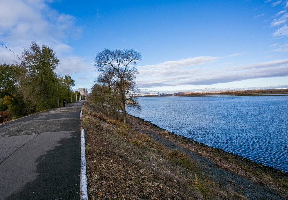 дом г Энгельс пер Киевский 1/1 фото 4