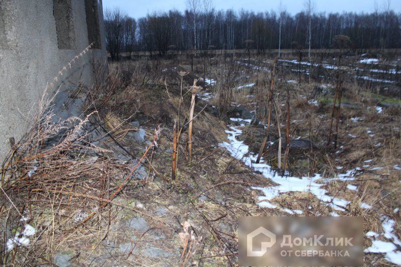 дом р-н Тейковский село Нельша фото 6