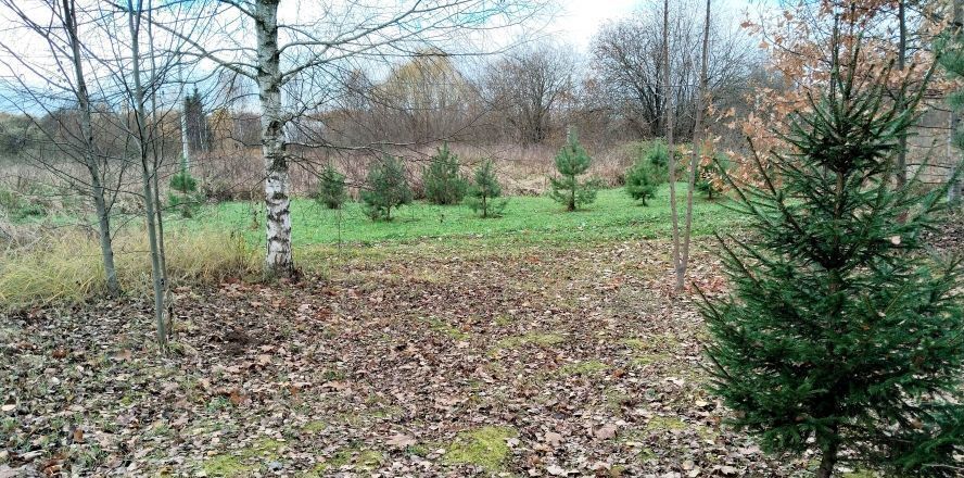 земля городской округ Клин д Трехденево ул 2-я Карьерная 80 км, Клин, Рогачёвское шоссе фото 3