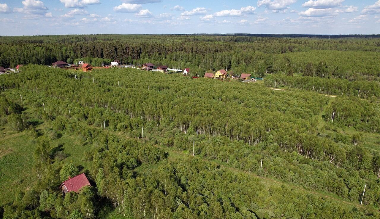 земля городской округ Можайский 93 км, коттеджный пос. Лесные Просторы, Верея, Минское шоссе фото 4