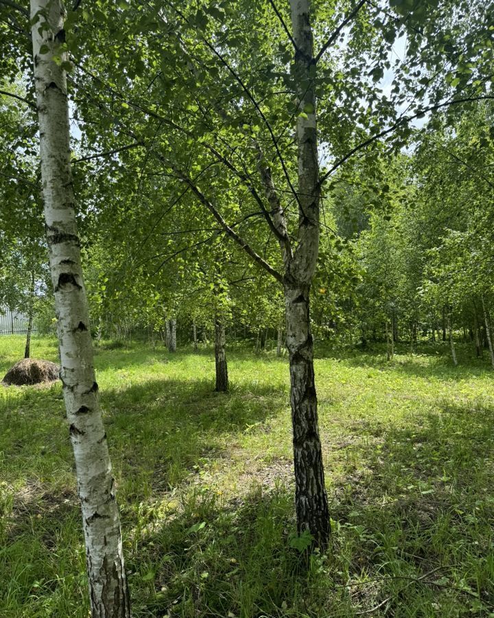 земля направление Курское (юг) ш Калужское 9744 км, Краснопахорский р-н, коттеджный пос. Старая Пахра, Москва, пос. дома отдыха Пахра, Троицк, Троицкий административный округ фото 6