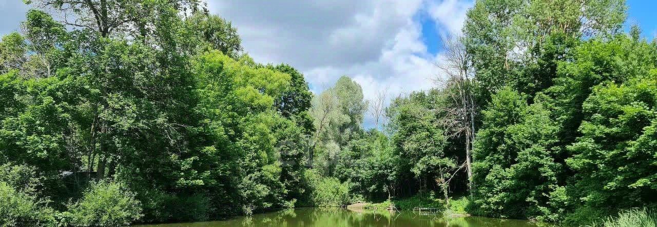 земля р-н Бабынинский д Хвалово Село Бабынино с/пос фото 16