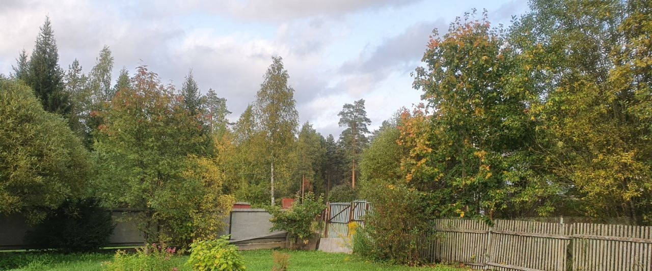 земля р-н Гатчинский Вырица городской поселок фото 4