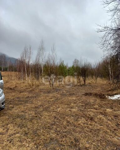 Барышевский сельсовет, дачное некоммерческое партнерство Лазурный берег, 72, Новосибирск фото