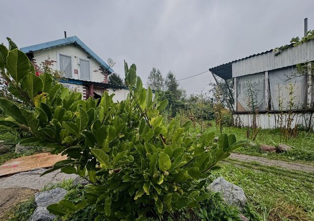 п Шиповка снт Приморское Светловский г. о. фото