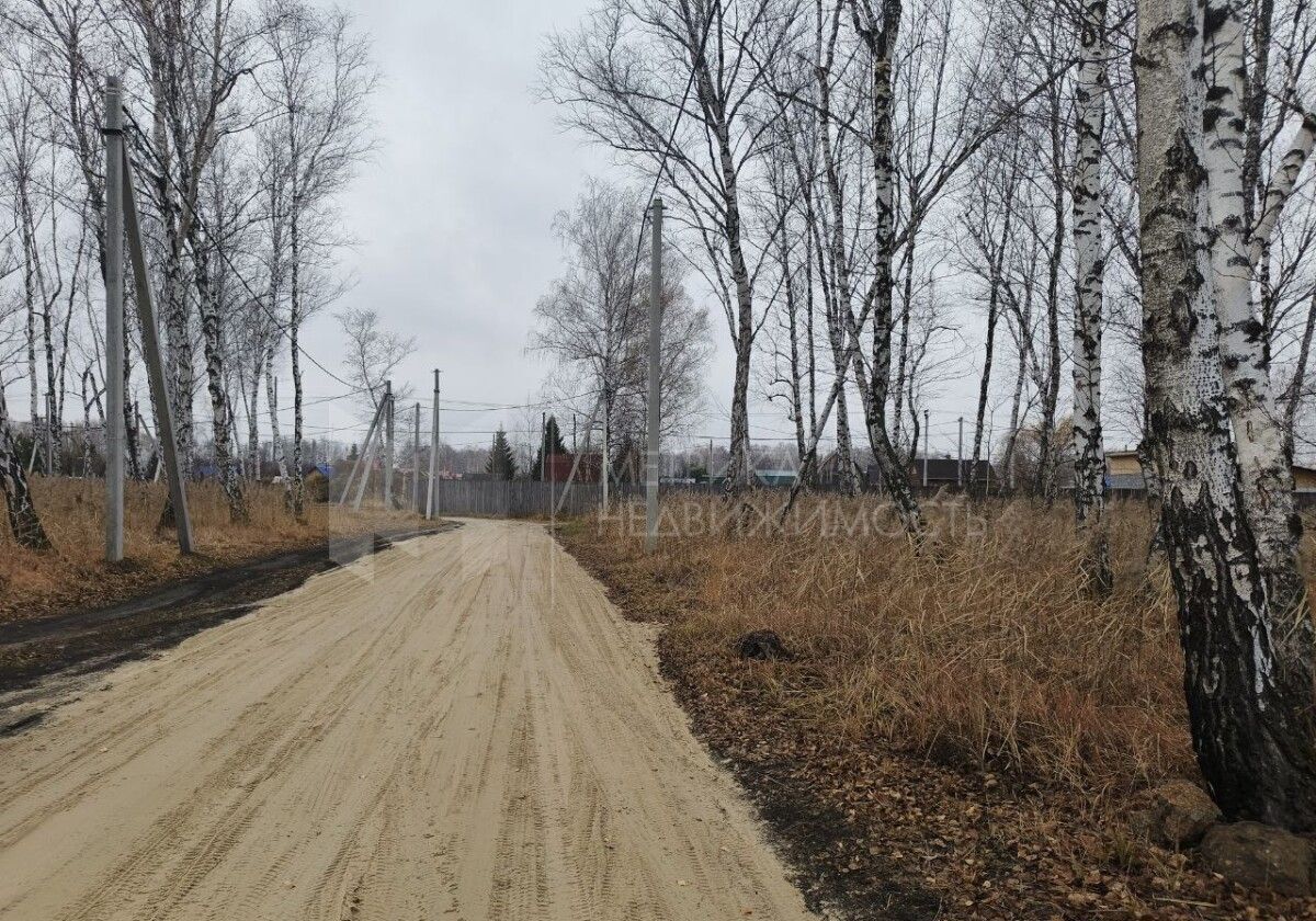 земля г Тюмень тер дачное некоммерческое товарищество Березка р-н Центральный собственников недвижимости Зелёный Бор фото 17