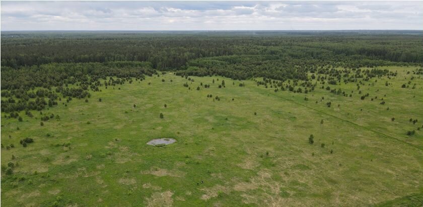 земля городской округ Орехово-Зуевский г Куровское 63 км, д. Костино, Егорьевское шоссе фото 4