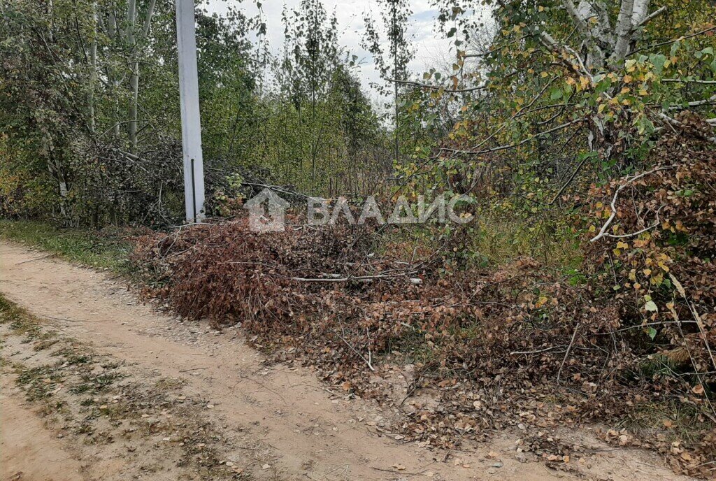 земля городской округ Одинцовский п Горки-10 снт Горки-2 ул 3-я очередь Одинцово фото 3